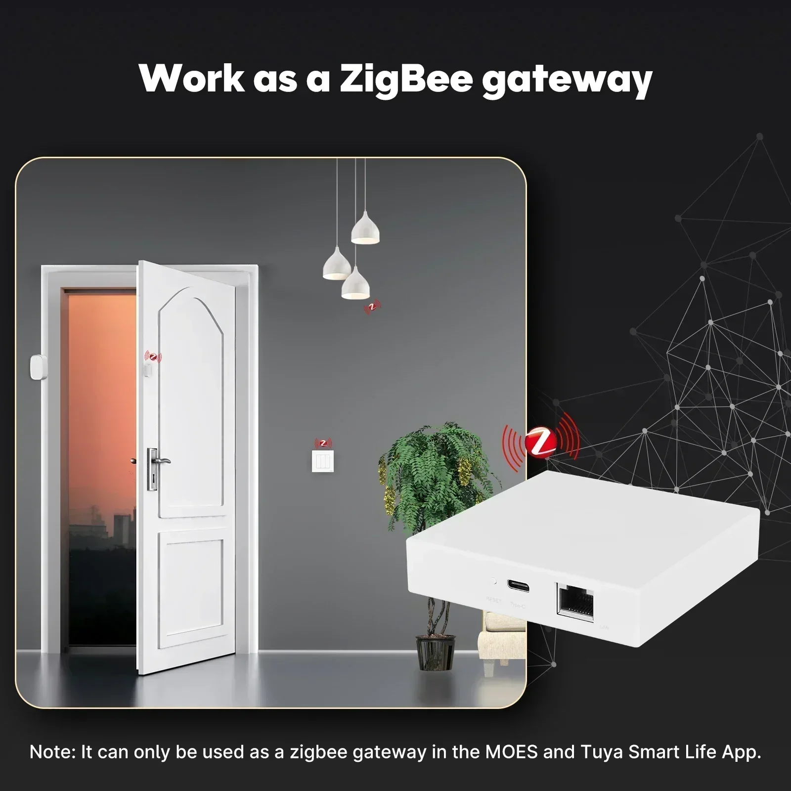 MOES Tuya Zigbee Matter Thread – обзор и цена Smart Home Dashboard
