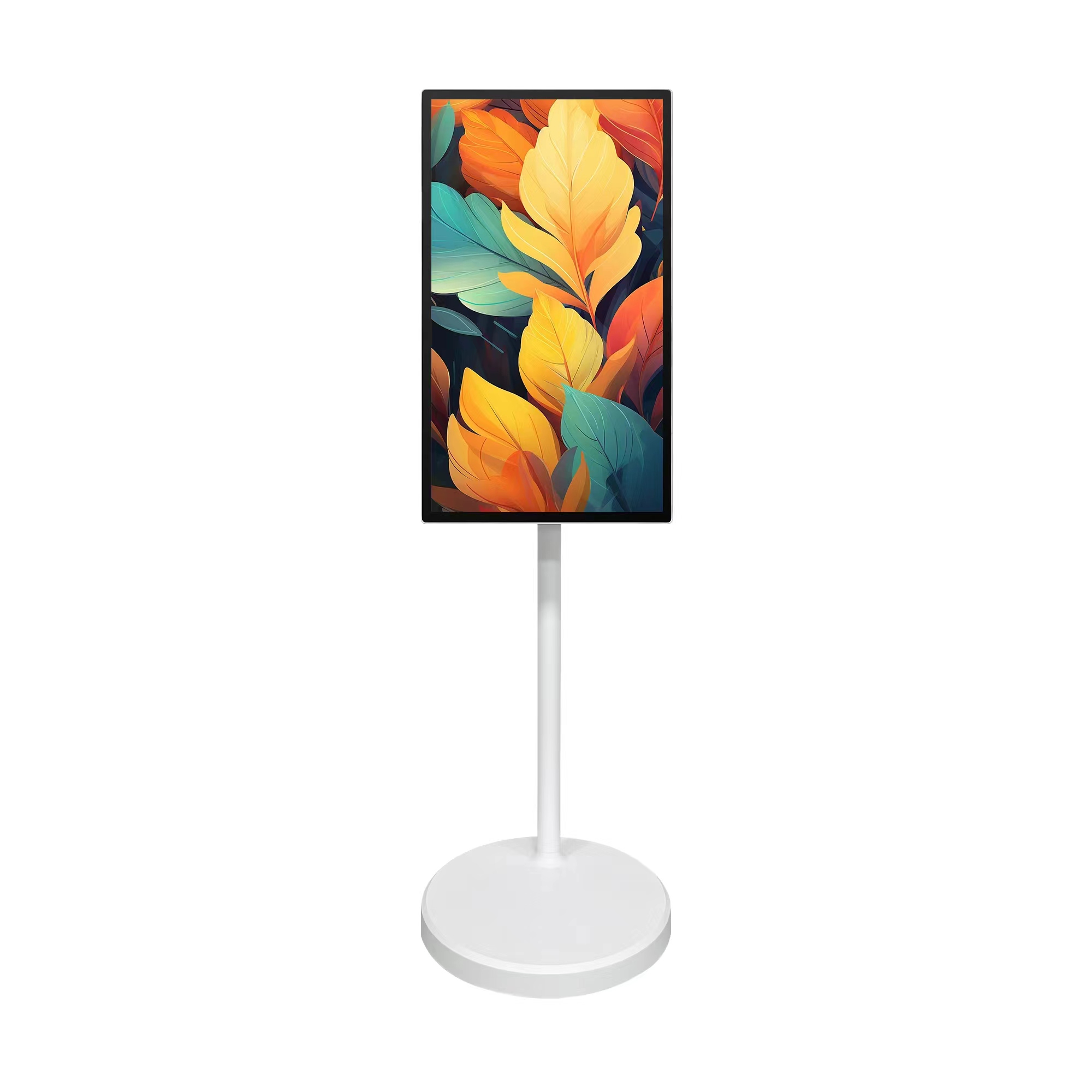 32-дюймовый мобильный сенсорны – обзор и цена Smart Home Display